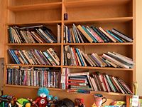 Wide view of three wooden shelves filled with assorted books and CDs, plush toys visible at bottom