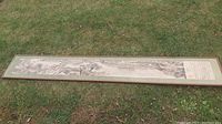 Full length shot of the framed print laid on grass, showing the entire artwork and frame.