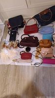 Photo displaying a variety of handbags, purses, a belt, and feathered accessory laid out on a white surface.
