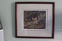 Framed limited edition print of a deer mouse beneath hedgerow resting on natural forest floor, image captured from a straight angle showing the frame and matting.