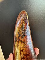 Top view closeup of polished petrified wood showing natural grain patterns and coloration