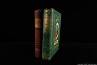 Two hardcover books standing upright showing spines and some cover detail under lighting on black background.