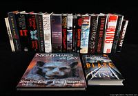 Row of 16 Stephen King spines standing upright plus two books laid flat: Nightmares in the Sky and Blaze