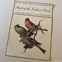 Front cover print of the book Birds of the Northern Forest by J.F. Lansdowne with text by John A. Livingston showing detailed bird illustrations.