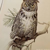 Close-up of single Great Horned Owl print on branch