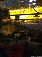 Two wire shelves showing assorted hardware, tools, plastic storage crates, small parts and accessories in a garage setting with backlit window.
