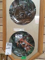 Close-up photo showing two of the plates with raccoons and foxes inside a wooden frame with glass.