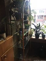 Front view of arched brass-look frame with four glass shelves and potted plants in front of a window