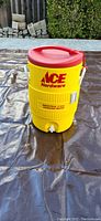 Front view of yellow Ace Hardware Igloo water cooler with spigot, red lid on top, outdoor setting.