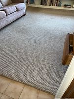 Full view of the large textured area rug on floor beneath sofa and near tiled floor.
