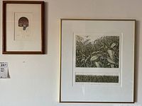 Both framed prints hanging on wall, one small abstract print by Judith Eldridge and one larger botanical print
