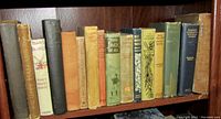 Shelf of 14 antique hardcover books with varying spine colors and titles, showing general wear for age.