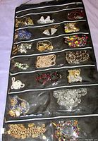 Multiple costume jewelry pieces sorted in a hanging organizer with zip pockets, displaying gold-tone chains, colorful beads, faux pearls, rhinestone earrings, and decorative pins.