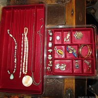 Overview of jewelry in red trays showing necklaces, rings, brooch, watch, pendants and earrings