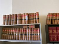 Shelves of brown leather-bound law reports with red and black labels