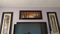 View of three framed prints displayed above a TV, showing two black-and-white waterfall images and one autumn forest print.