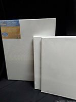 Photo showing 3 white blank canvases of different sizes in original shrink wrap packaging.