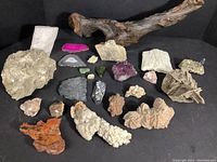 Assorted natural artifacts arranged on a black surface including desert roses, amethyst, quartz, mica, fossils, petrified wood, coral, and shells.
