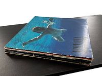 Stack of vinyl record albums showing edges and partial cover art, including Nirvana's Nevermind album on top.