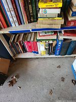 Bookshelf with assorted books including hardcover dictionaries, Michener's 'The Source', and Reader's Digest condensed books.