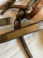 Close-up of brown leather horse harness brass nameplate labeled 'BEL REAL' with surrounding leather straps and brass hardware.
