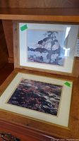 Two framed prints, one with dark tree and lake scene, the other with vivid water reflections and foliage, both with white mats and wooden frames.
