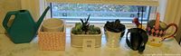 Wide shot of all plants, planters, and watering jugs on windowsill