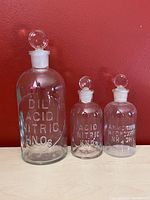 Photo of set of three embossed glass apothecary bottles against red background showing front labels.