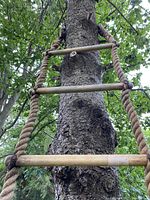 Close-up view of wooden rungs and thick twisted rope hanging vertically against tree trunk