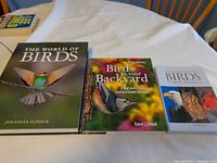 Photo of the three bird books stacked on a white table including The World of Birds, Birds in Your Backyard, and The Field Guide to Birds in North America.