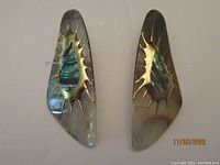Front view of one pair of elongated triangular shell earrings with abalone inlay and gold-tone sunburst design.