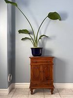 Front view of cabinet with plant on top