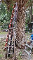 Photo showing a 10-foot red wooden step ladder and a smaller dark wooden ladder against a tree outdoors