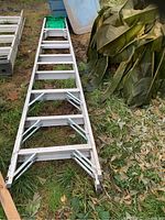 Full view of 8ft aluminum ladder laying on grass beside plant leaves.