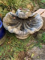 Heavy concrete birdbath with a wide scalloped bowl, weathered surface with moss and dirt, placed outdoors on green ground cover near other garden items.