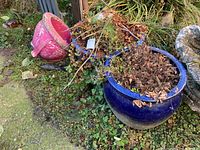 Three ceramic outdoor planters grouped outside on grass and ground cover. Includes pink ornate pot, dark blue pot with moss at base, and another blue pot, all with dried leaves and soil inside.