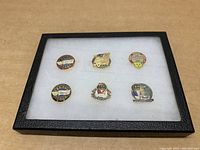 Six colorful Steiff Bear collector lapel pins arranged inside a black display case with glass top and white padding.