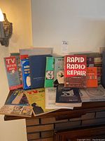 Overview of the lot showing 13 electrical repair books and manuals arranged on a wooden surface, titles covering radios, tube televisions, and other electronics repair subjects.
