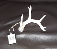 White deer antler decoration lying on dark leather surface with natural hanging rope and attached tag visible.