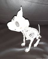 White plastic dog skeleton figurine photographed on a dark background.