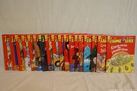 Front-facing photo of 18 Scholastic J'Aime Lire children's books displayed in a row showing their illustrated covers.