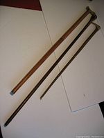 Photo showing the full length of the two canes, one with brass greyhound head handle and one with brass tip