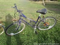 Full side view of blue Niagara mountain bike showing frame, tires, saddle, and pedals outdoors on grass.