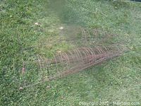 Multiple rusty metal wire tomato cages laid on grass, showing circular ring and vertical wire construction used for supporting tomato plants.