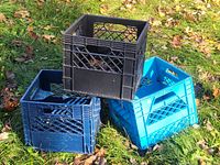 Black, navy blue, and light blue plastic milk crates stacked and arranged on grass outdoors with leaves around and inside them.