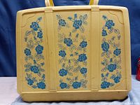 Front view of carrying case with blue floral pattern on beige case showing minor crack on the top.