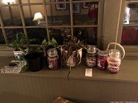 3 plants with ceramic vases and black pot, 4 used Yankee candles, Waterford Crystal tray and plastic watering can on table