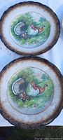 Two decorative plates featuring colorful images of turkeys with ornate gold-tone borders