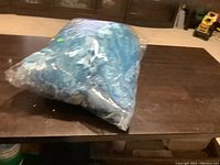 Blue princess costume dress sealed in plastic bag on table