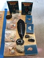 Overview of assorted fossils and minerals arranged on wooden board including ammonite, crinoid fossil, clam fossils, and mineral displays.